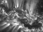 magnetic loops on the Sun